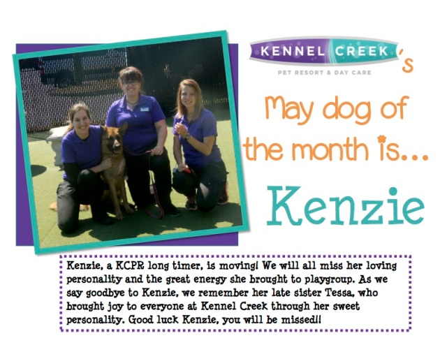 Dog of the month May'14